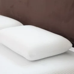 Hastings Home Comfort Gel Memory Foam Pillow With Cover