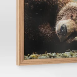 20" X 16" Bear Photography Framed Art Brown - Threshold™ -Home Decor Shop GUEST 8d29808a 8d0a 4121 a8c8 64d15cc45658