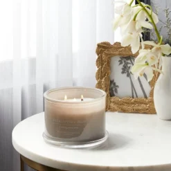 14oz Lidded Gray Glass Jar Crackling Wooden 3-Wick Candle With Clear Label Eucalyptus + Palm - Threshold™