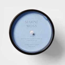 Colored Vase Glass With Dustcover Marine Moss Candle Blue - Threshold™ 9 Colored Vase Glass With Dustcover Marine Moss Candle Blue - Threshold™ -Home Decor Shop GUEST e5035607 20cd 4e66 bc9b 502503c48b69